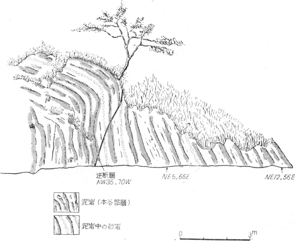 ./image/0439_0081-0001.png
