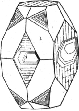 ./image/0450_0049-0004.png