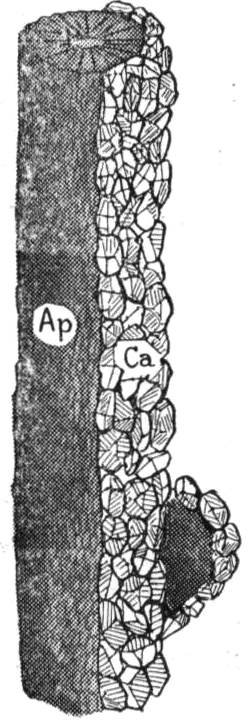 ./image/0450_0057-0001.png