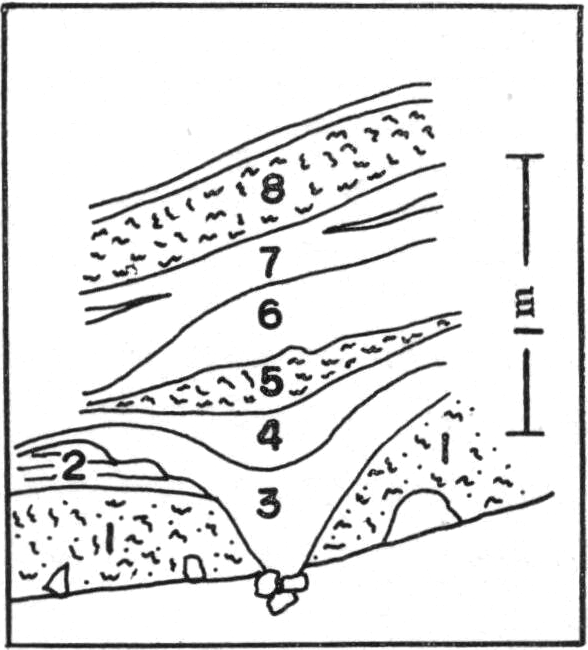 ./image/0488_0034-0001.png