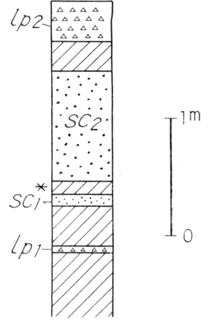 ./image/0488_0060-0001.png