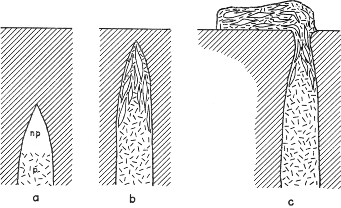 ./image/0488_0074-0001.png