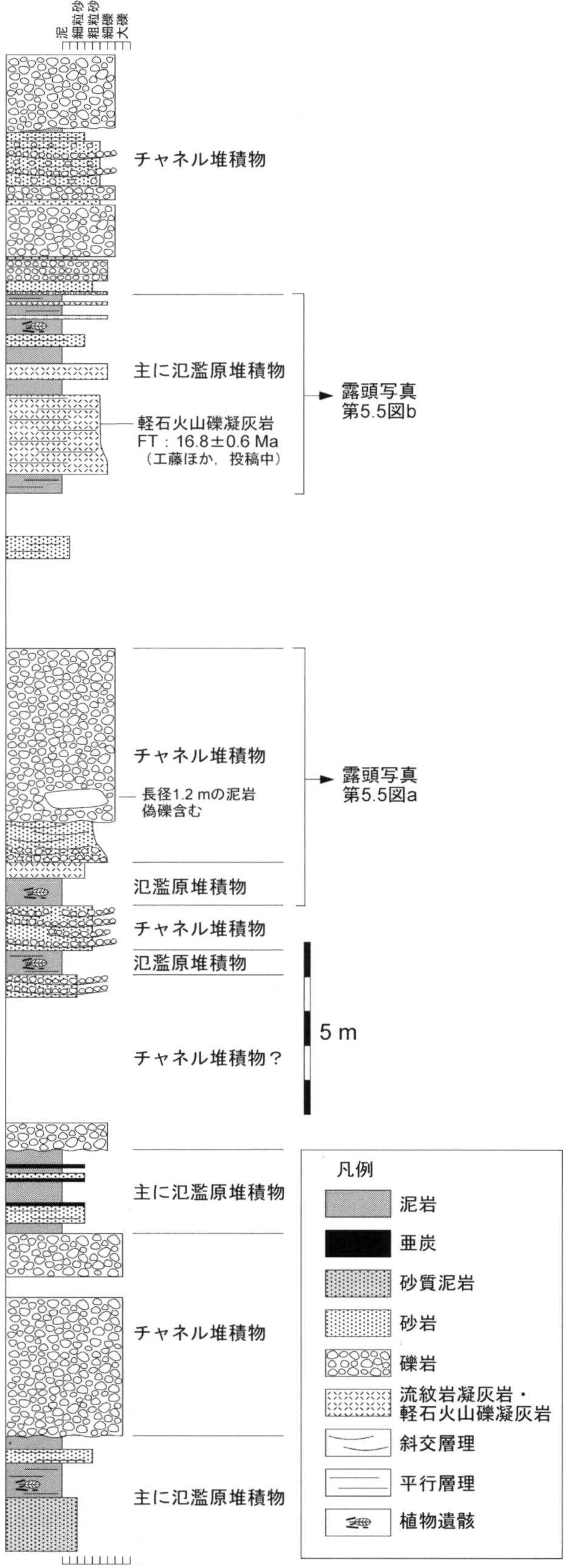 ./image/1155_0051-0001.png