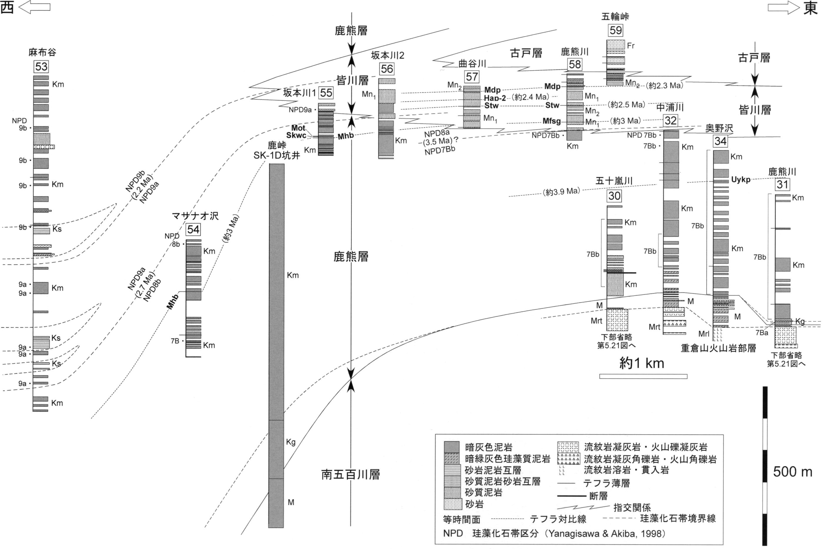 ./image/1155_0091-0001.png