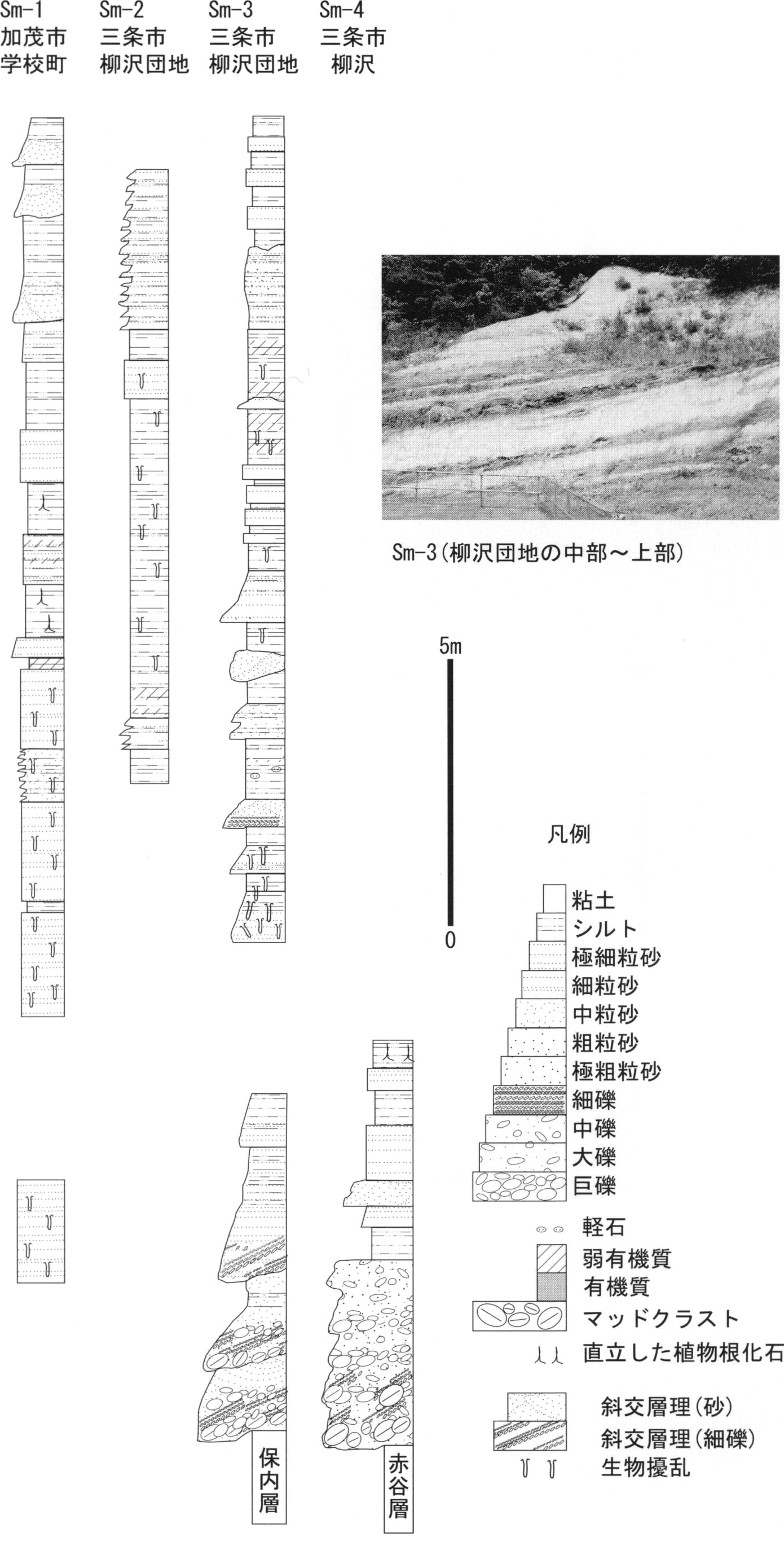 ./image/1155_0121-0001.png