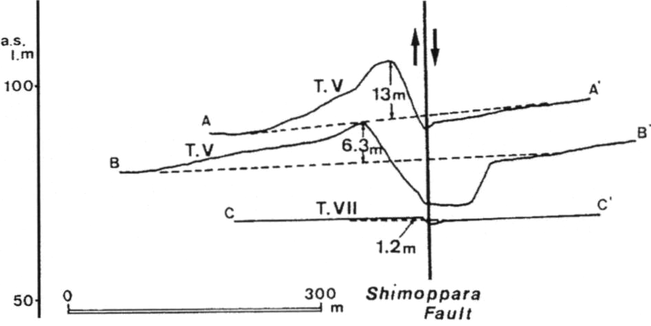 ./image/1155_0141-0002.png