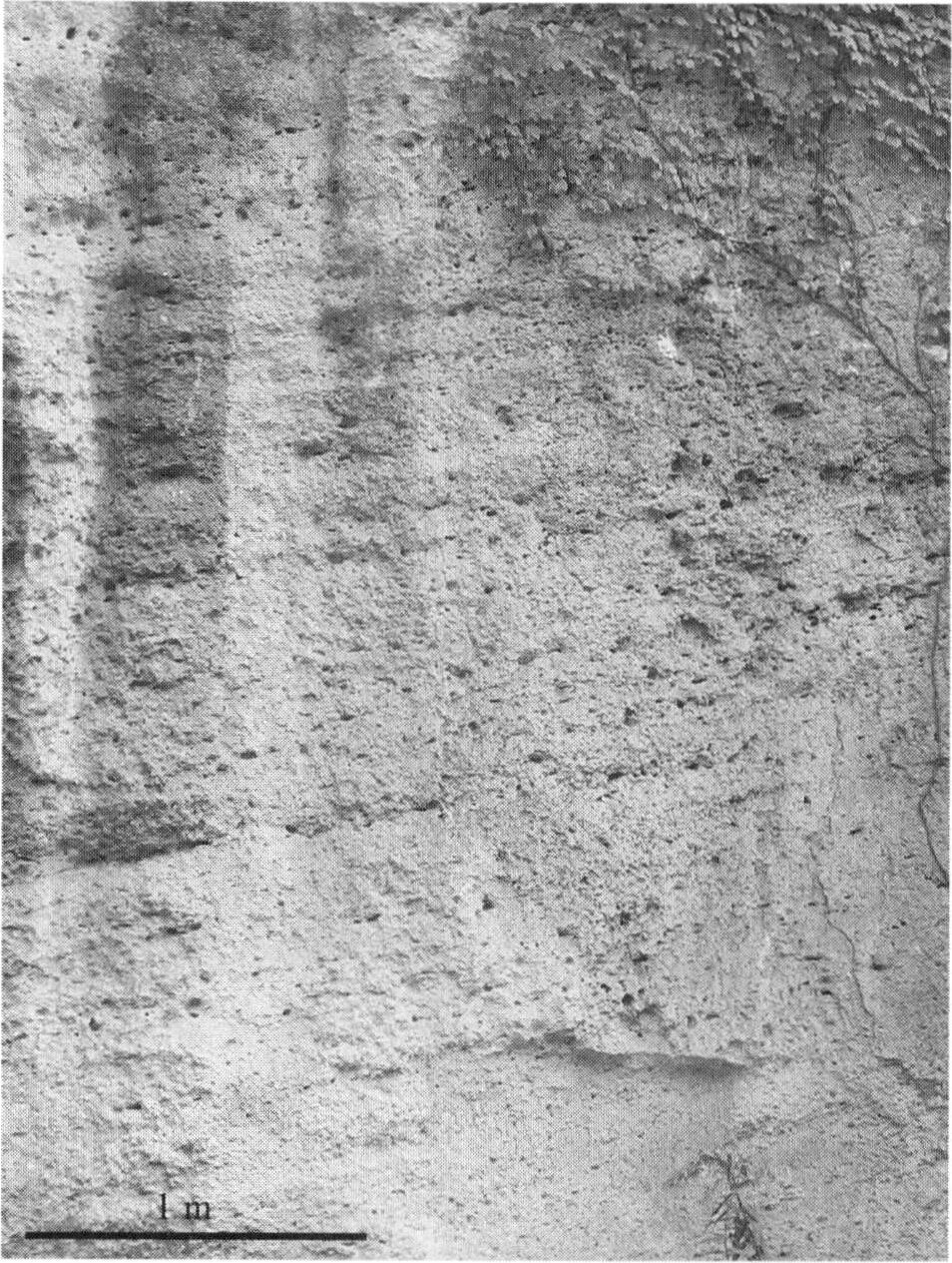 ./image/1156_0041-0002.png